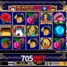705bet Salvador - Bonus Stats